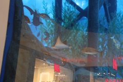 Akvarium i Dubai Mall