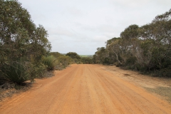 Kangaroo Island - 1