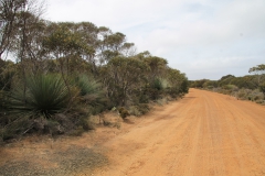 Kangaroo Island - 1